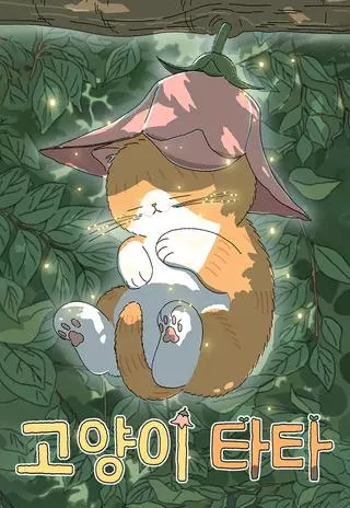 Кошка Тата