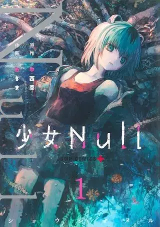 Сёдзё Null