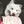 Ladle Art-Two Cats