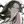 Tokion