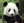 Hae-Nal Lee