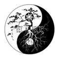 Die ac nocte