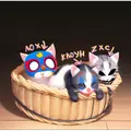 MAOLUN TEAM