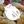 Scone