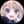 ICHI Kotoko