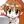 MINAMORI Minamo