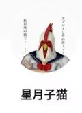 HOSHITSUKI Koneko