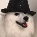 Doggowithhat