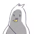 Homer