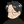 Hirokazu Koyama