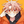Itonoko