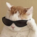 frychit